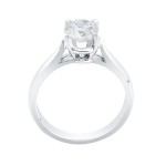 White Gold 1ct TDW Clarity-enhanced Diamond Engagement Ring - Handcrafted By Name My Rings™