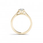 Gold 3/4ct TDW Diamond Exquisite Engagement Ring - Handcrafted By Name My Rings™