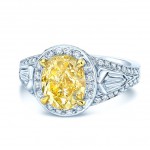 Platinum and Gold 3 3/5ct TDW Fancy Yellow Diamond Gia-certified Engagement Ring - Handcrafted By Name My Rings™